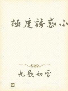 极度诱惑小说封面