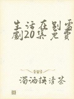 生活在别处电视剧20集免费观看