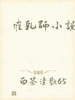 催乳师小说