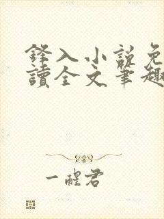 锋入小说免费阅读全文笔趣阁