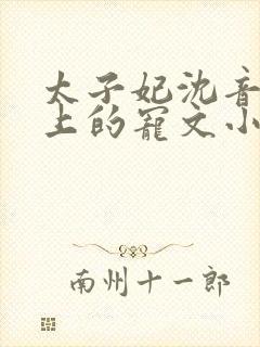 太子妃沈音和皇上的宠文小说