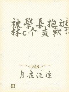 被学长抱进小树林c个爽软件