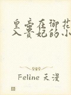 皇帝在御花园进入贵妃的小说