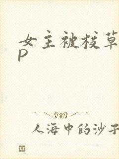 女主被校草们NP