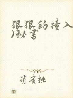 狠狠的撞入(h)秘书