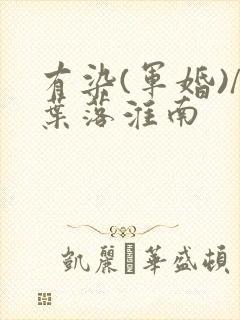 有染(军婚)/叶落淮南