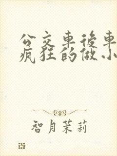 公交车后车座的疯狂的做小