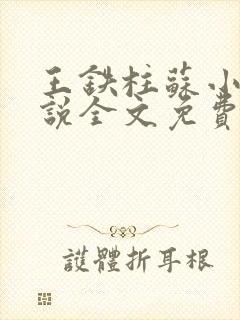 王铁柱苏小汐小说全文免费阅读最新章节