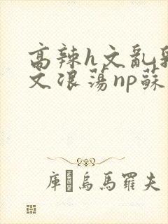 高辣h文乱乳h文浪荡np苏夏封面