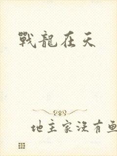 战龙在天