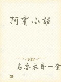 阿宾小说封面