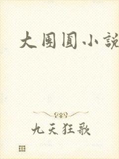 大团圆小说
