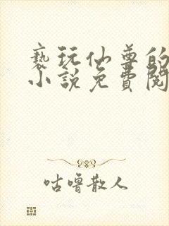 亵玩仙尊的道侣小说免费阅读