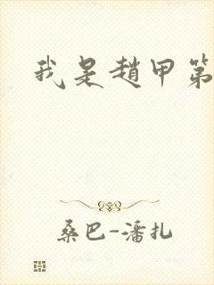 我是赵甲第小说