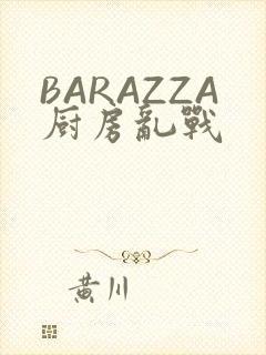 BARAZZA厨房乱战