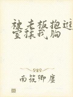 被老板抱进办公室揉我胸