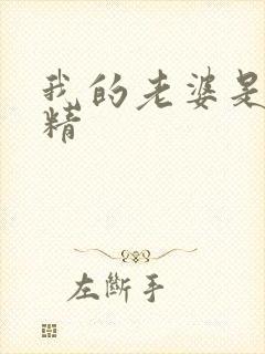 我的老婆是狐狸精