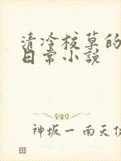 清冷校草的堕落日常小说