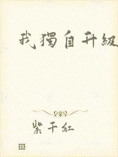 我独自升级小说