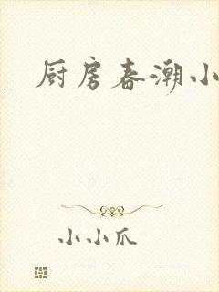 厨房春潮小说