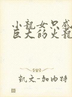 小龙女只感觉那巨大的火龙枪封面