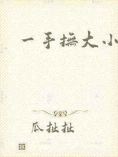 一手抚大小说