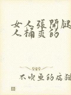 《女人张开腿让男人桶爽的》小说封面