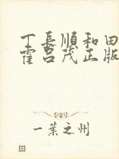 丁长顺和田晓兰霍吕茂正版