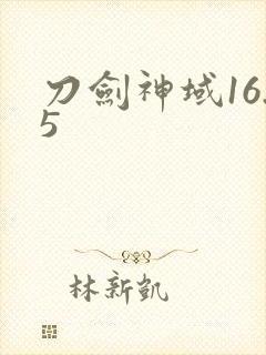 刀剑神域16.5