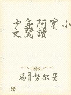 少年阿宾小说全文阅读