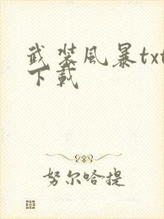 武装风暴txt下载