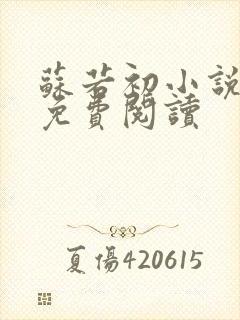 苏若初小说全文免费阅读