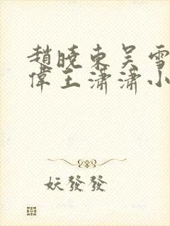 赵晓东吴雪晴郑伟王潇潇小说封面