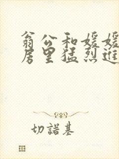 翁公和媛媛在厨房里猛烈进出