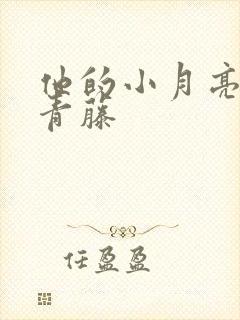 他的小月亮by青藤