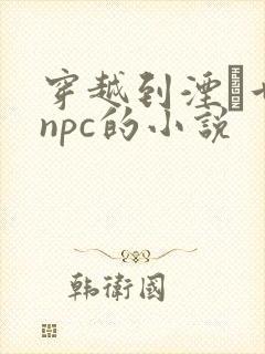 穿越到湮婸世界npc的小说