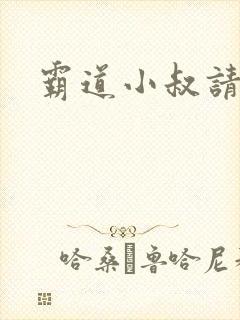 霸道小叔请轻撩