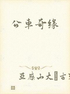 公车奇缘