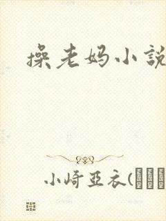 操老妈小说