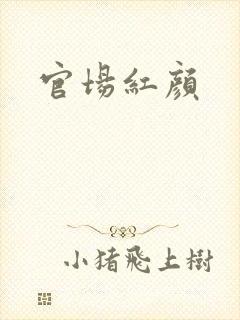 官场红颜
