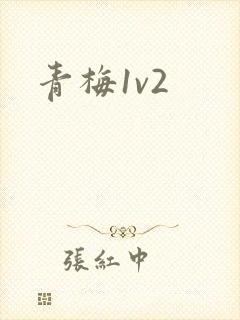 青梅1v2