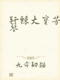 轩辕大宝芳菲雅琴