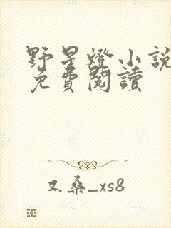 野星灯小说全文免费阅读