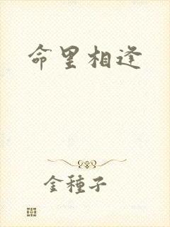 命里相逢