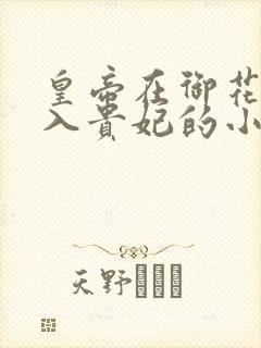 皇帝在御花园进入贵妃的小说