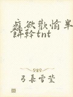 瘾欲欢愉半块小饼干tnt