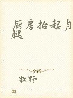 厨房抬起月月的腿封面