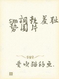 sm调教羞耻姿势图片