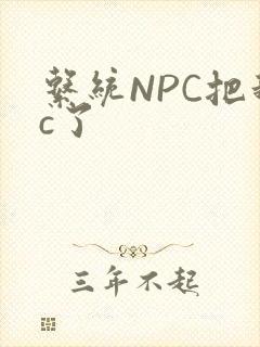 系统NPC把我c了