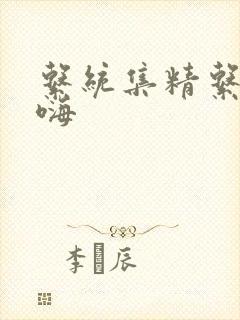 系统集精系统高嗨